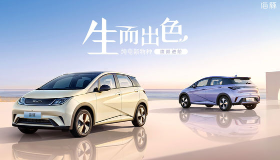 Mini Byd Dolphin Chinese EV Car Mini Pure Electric 5 Seater