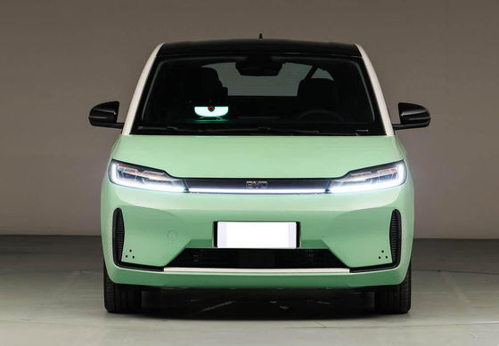 Hatchback Electric D1 BYD EV Car 418km LFP Battery