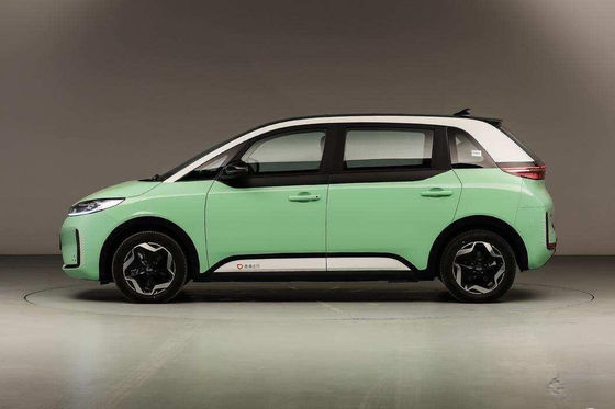 Hatchback Electric D1 BYD EV Car 418km LFP Battery