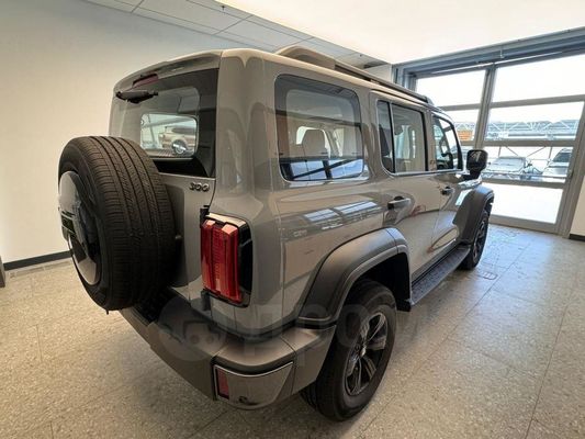 Tank 300 2023 2.0T Challenger Version Compact SUV 2.0T 227HP L4 Engine