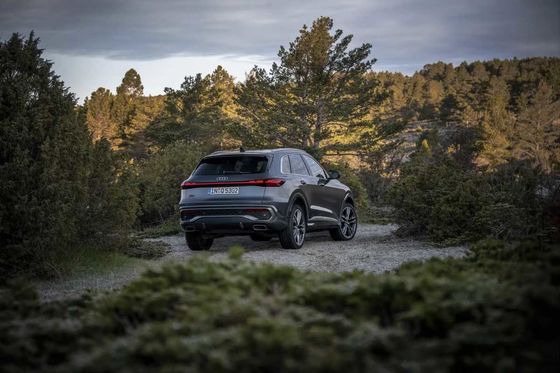 Audi Q5L 2025 quattro 45th Anniversary Collector's Edition 40TFSI Fashionable Dynamic